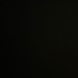 Meet your Posher, Rose